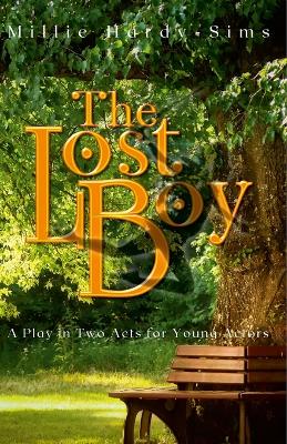 Book cover for The Lost Boy