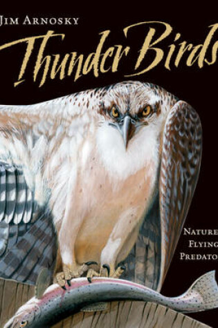 Cover of Thunder Birds
