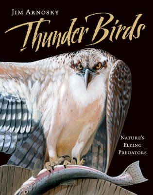 Book cover for Thunder Birds