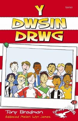 Book cover for Cyfres yr Hebog: Y Dwsin Drwg