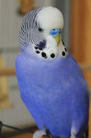 Cover of Adorable Blue Budgie Parakeet Bird Journal