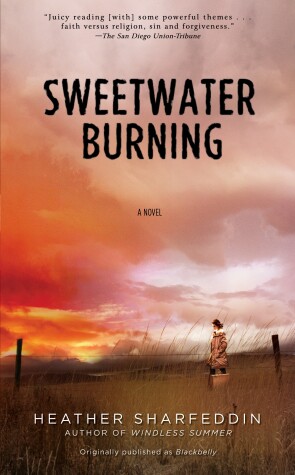 Book cover for Sweetwater Burning