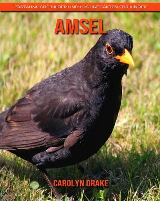 Book cover for Amsel