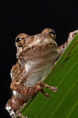 Cover of Frog on a Leaf Close Up (for the Love of Animals)