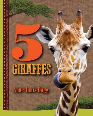 Book cover for 5 Giraffes