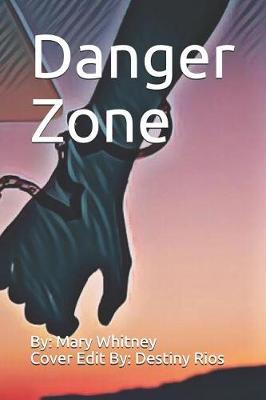 Book cover for Danger Zone