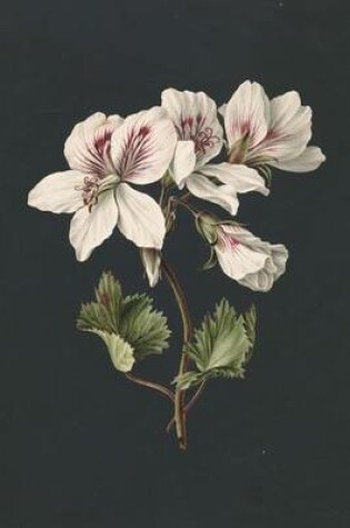 Cover of Geraniums Antique Botanical Art Journal