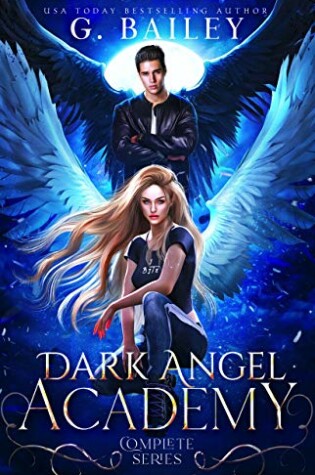 Cover of Dark Angel Academy