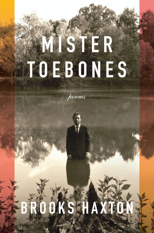 Cover of Mister Toebones