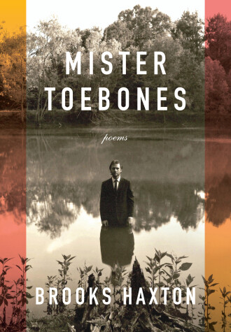 Book cover for Mister Toebones