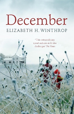 Book cover for December