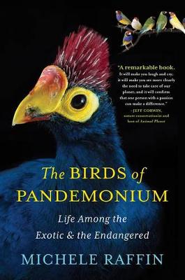 Book cover for The Birds of Pandemonium