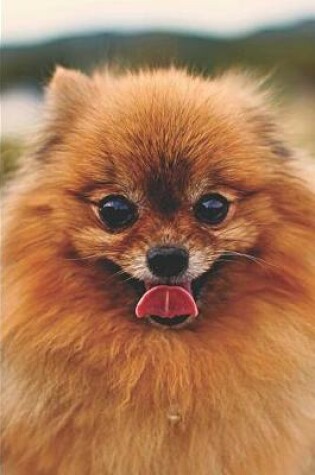 Cover of Pomeranian Dog Lovers Journal