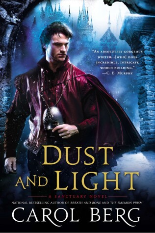 Book cover for Dust and Light
