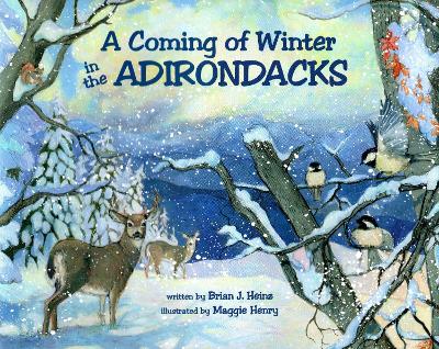 Book cover for A Coming Of Winter In The Adirondacks