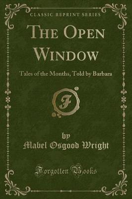 Book cover for The Open Window