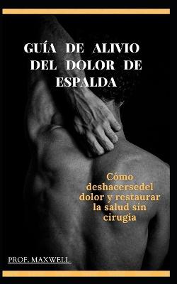 Book cover for Guía de Alivio del Dolor de Espalda