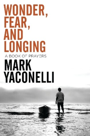 Cover of Wonder, Fear, and Longing, Paperback