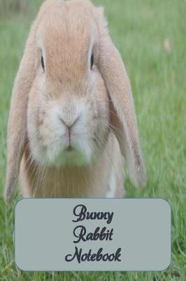 Book cover for Bunny Rabbit Notebook