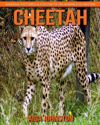 Book cover for Cheetah