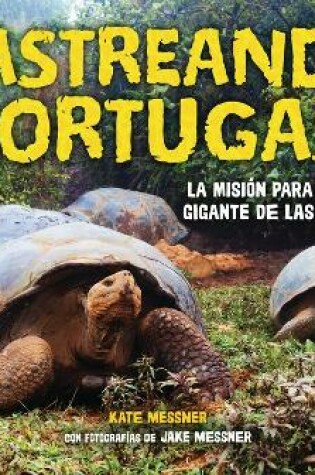 Cover of Rastreando Tortugas (Tracking Tortoises)