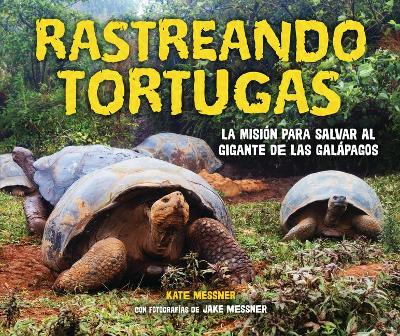 Book cover for Rastreando Tortugas (Tracking Tortoises)