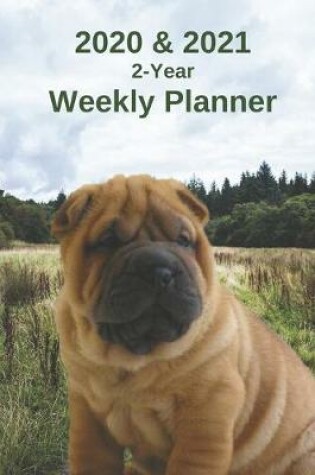 Cover of 2020 & 2021 Weekly Planner - Two Year Appointment Book Gift - Two-Year Agenda Notebook For Shar Pei Dog Owners