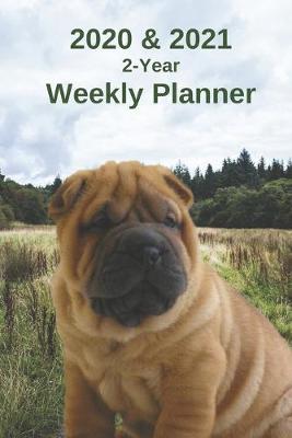 Book cover for 2020 & 2021 Weekly Planner - Two Year Appointment Book Gift - Two-Year Agenda Notebook For Shar Pei Dog Owners