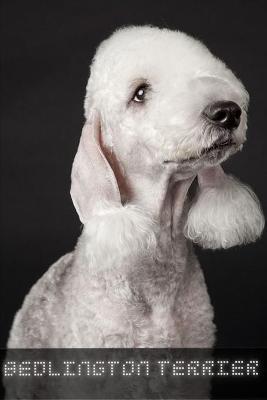 Book cover for Bedlington Terrier