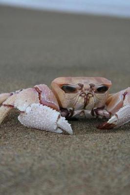 Book cover for Crab on the Beach Marine Crustacean Journal