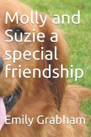 Cover of Molly and Suzie a special friendship