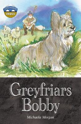 Book cover for Storyworlds Bridges Stage 12 Greyfriars Bobby 6 Pack