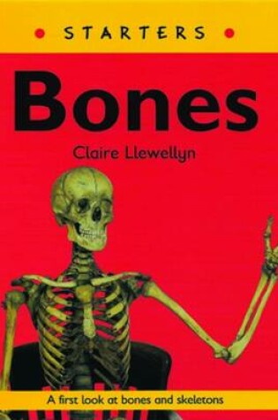 Cover of Read Write Inc. Comprehension: Module 9: Children's Books: Bones Pack of 5 books