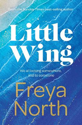 Book cover for Little Wing