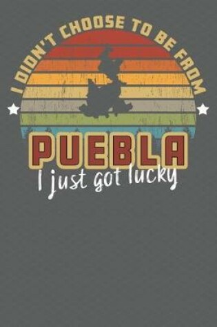 Cover of I Didn't Choose to Be From Puebla I Just Got Lucky