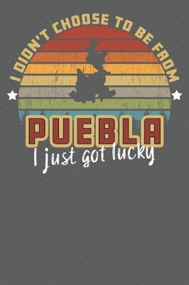 Book cover for I Didn't Choose to Be From Puebla I Just Got Lucky