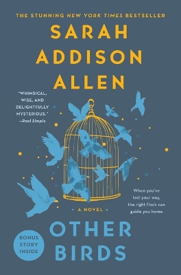 Book cover for Other Birds