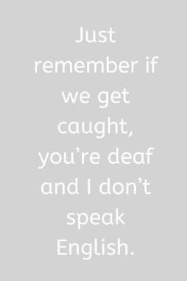 Book cover for Just remember if we get caught, you're deaf and I don't speak English.