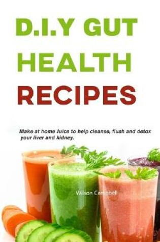 Cover of D.I.Y Gut Health Recipes