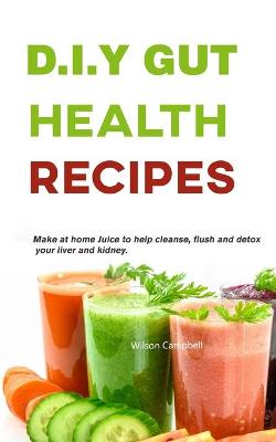 Cover of D.I.Y Gut Health Recipes