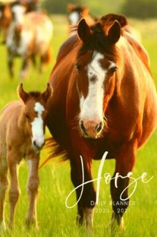 Cover of 2020 2021 15 Months Horse Equine Foal Daily Planner