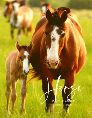 Book cover for 2020 2021 15 Months Horse Equine Foal Daily Planner
