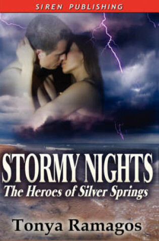 Cover of Stormy Nights [The Heroes of Silver Springs 3]