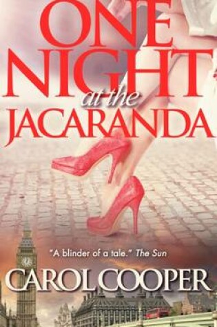 Cover of One Night at the Jacaranda