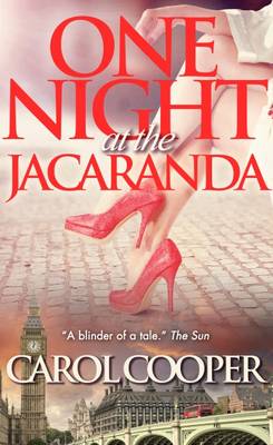 Book cover for One Night at the Jacaranda