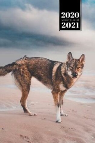 Cover of Wolf Wolves Week Planner Weekly Organizer Calendar 2020 / 2021 - At the Beach