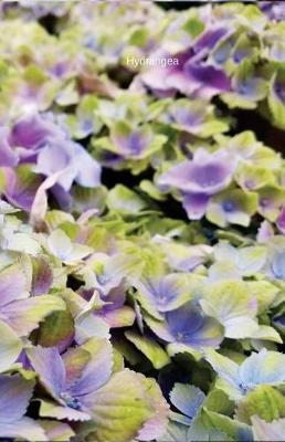 Cover of Hydrangea