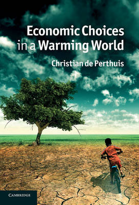 Book cover for Economic Choices in a Warming World