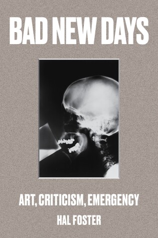 Cover of Bad New Days