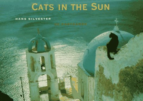 Book cover for Cats in the Sun Postcard Book